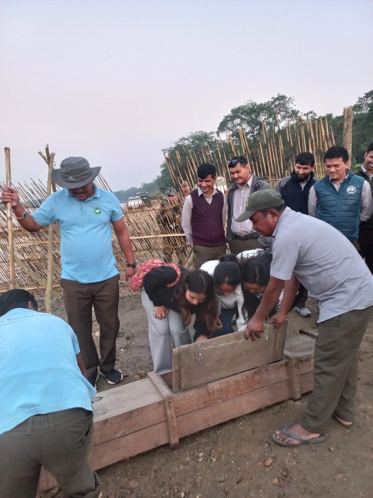 Park staff and visitors opening a wooden crate at a gharial release on a river bank