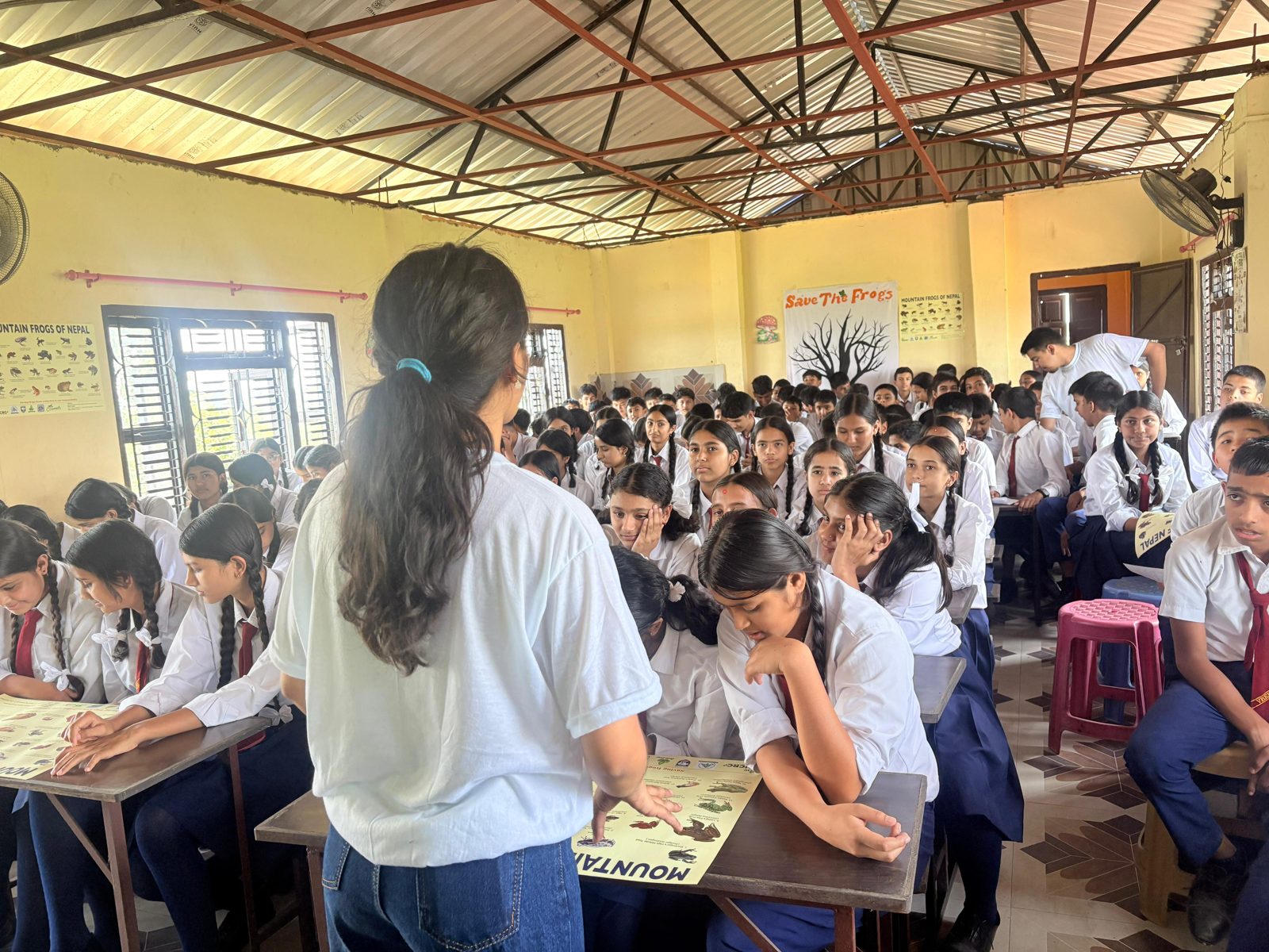 Samikshya Basnet talking students through a Mountain Frogs of Nepal poster
